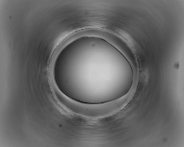 X0000090901332200707301404