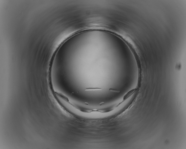 X0000090901333200707301404