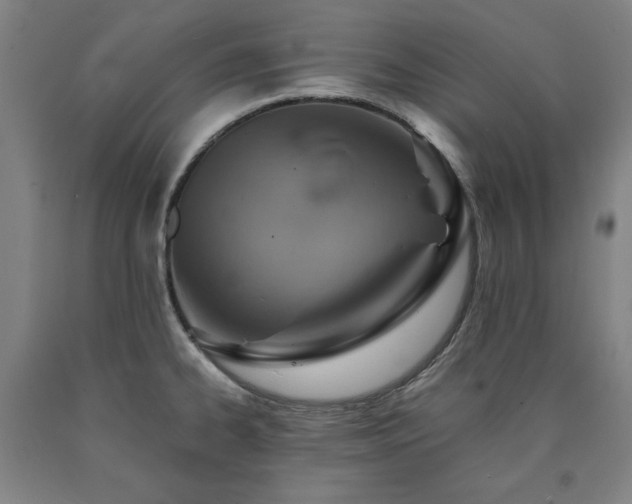X0000090901334200707301404