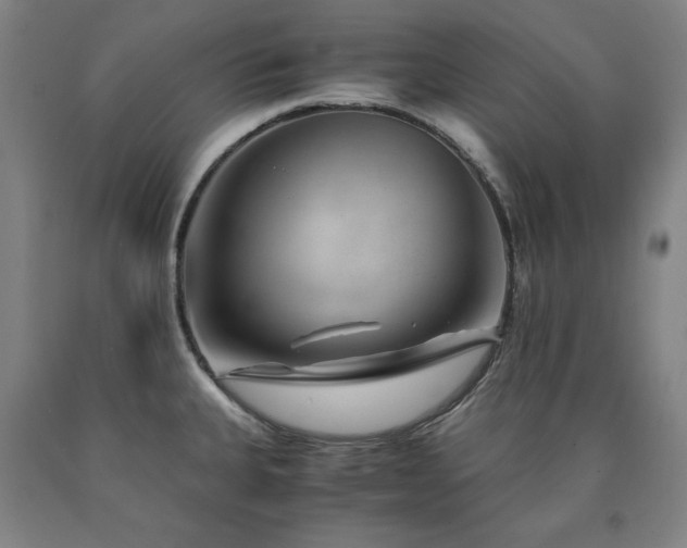 X0000090901335200707301404
