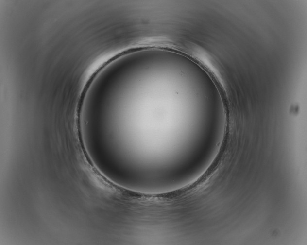 X0000090901336200707301404