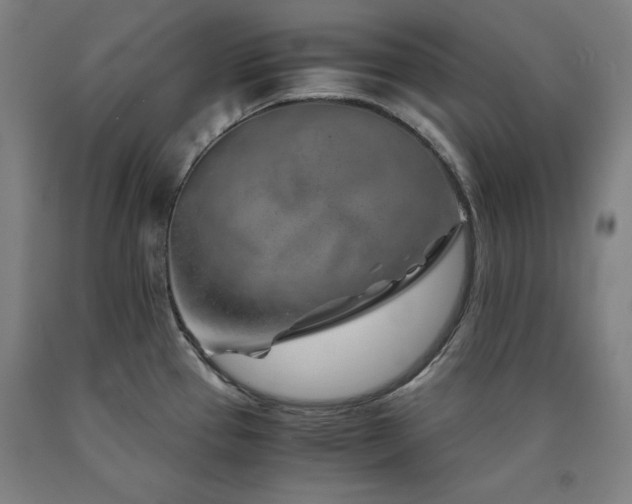 X0000090901337200707301404