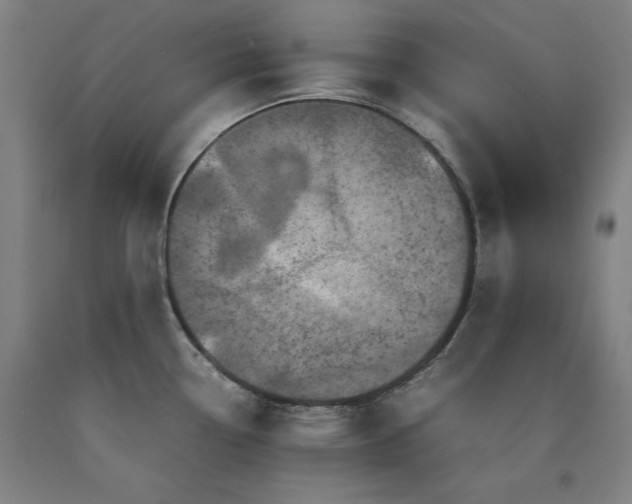 X0000090901338200707301404