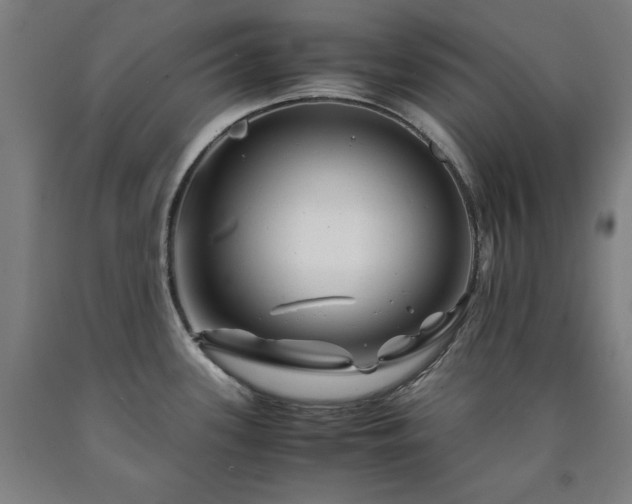 X0000090901339200707301404