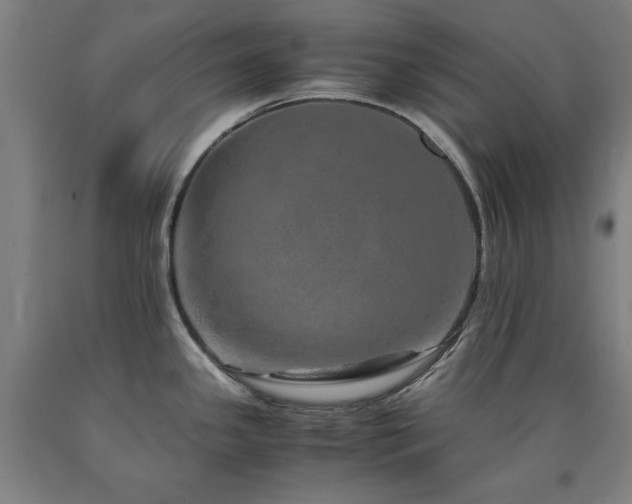 X0000090901341200707301405
