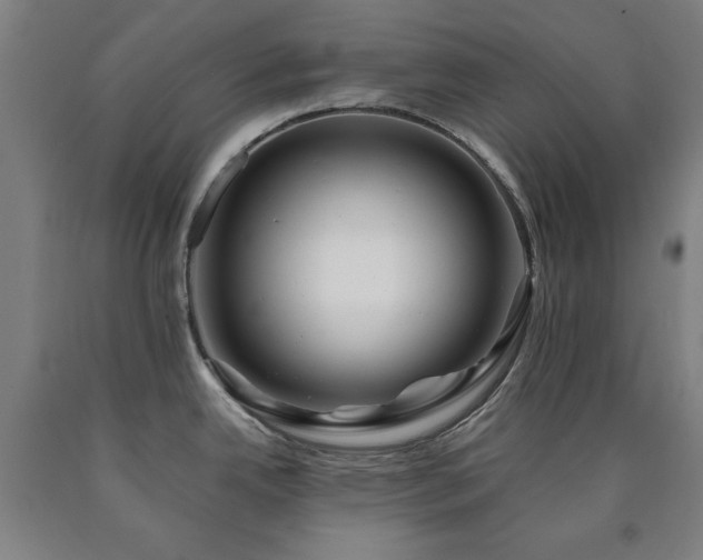 X0000090901342200707301405