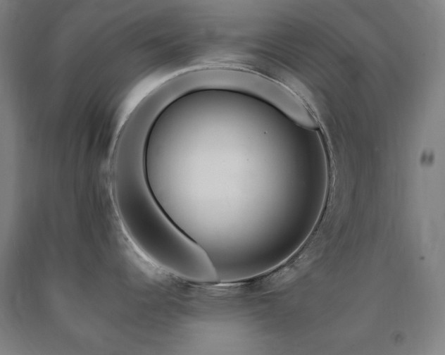 X0000090901344200707301405
