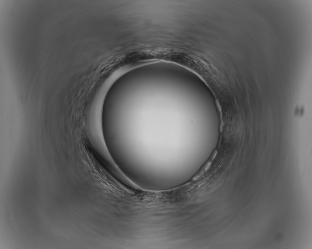 X0000090901345200707301404