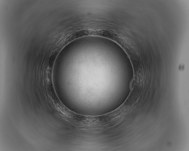 X0000090901346200707301404