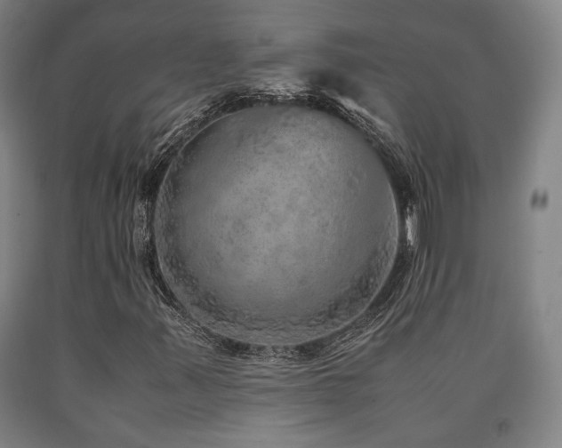 X0000090901347200707301404