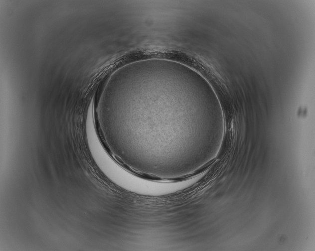 X0000090901348200707301404