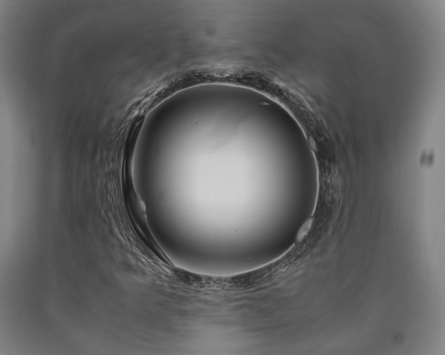 X0000090901349200707301404