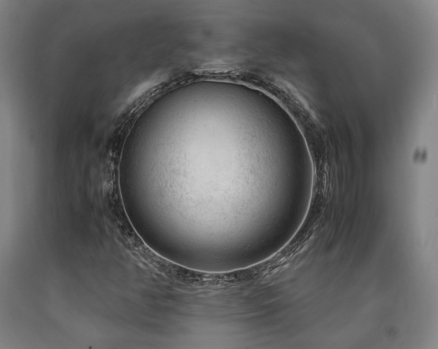 X0000090901350200707301404