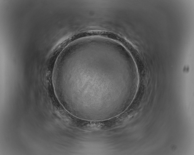 X0000090901351200707301404