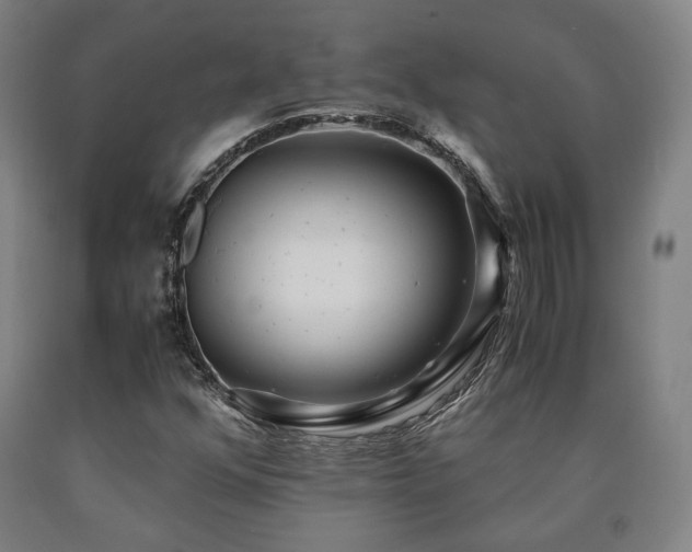 X0000090901352200707301404