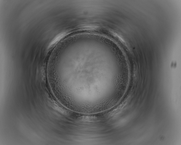 X0000090901354200707301404