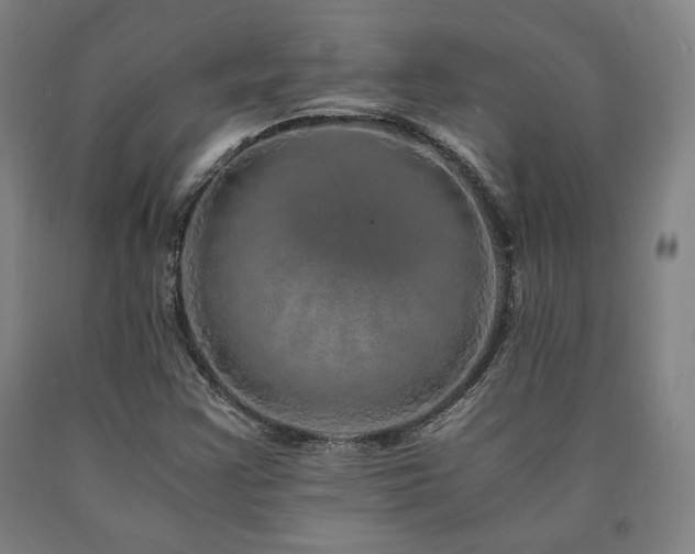 X0000090901355200707301404