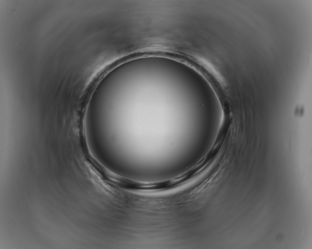X0000090901356200707301404
