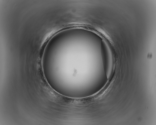 X0000090901357200707301404