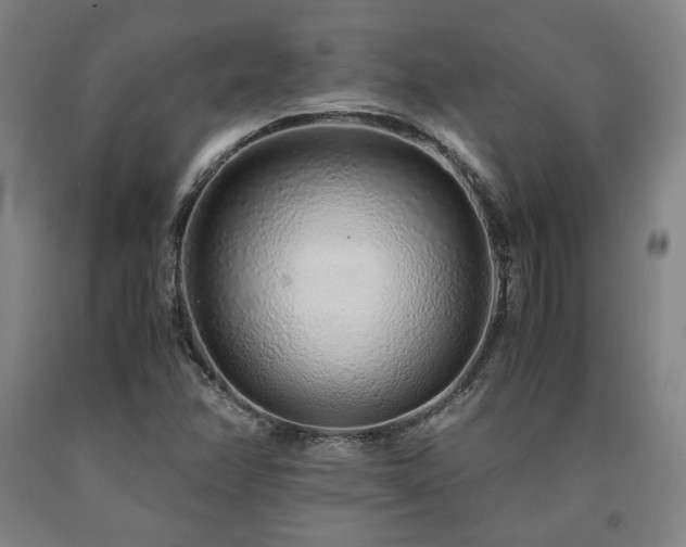 X0000090901358200707301404