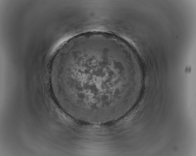 X0000090901359200707301404