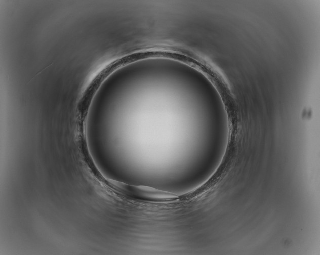 X0000090901360200707301404