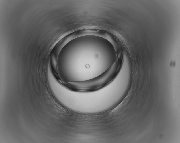 X0000090901361200707301404