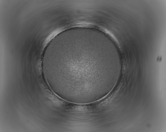 X0000090901362200707301404