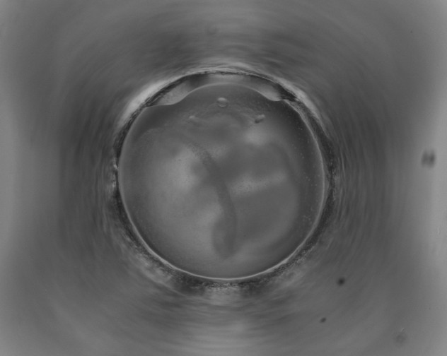X0000090901363200707301404