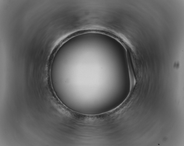 X0000090901364200707301404