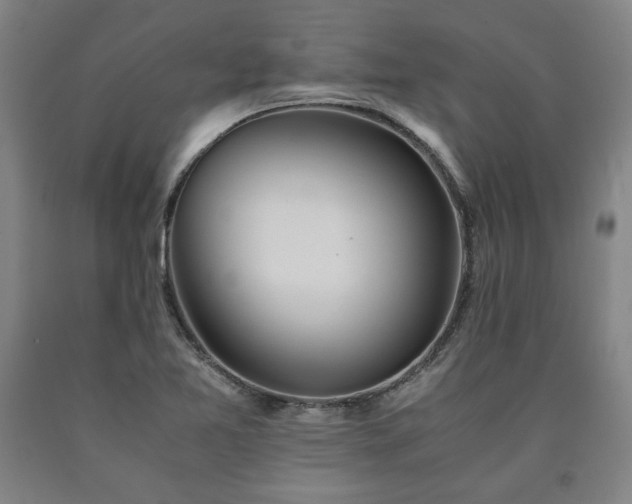 X0000090901365200707301404