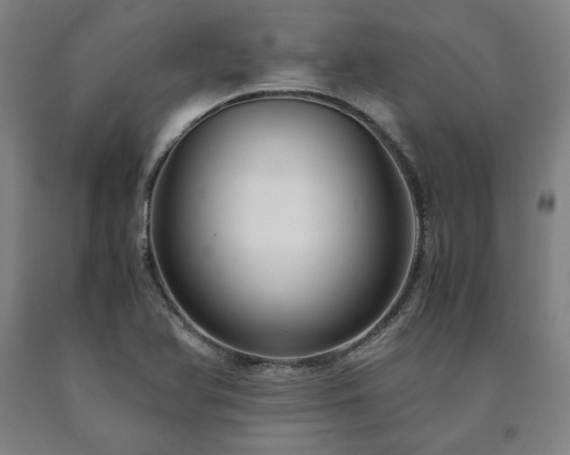 X0000090901366200707301404
