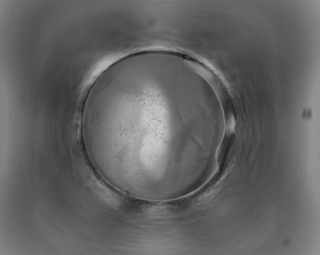 X0000090901367200707301404