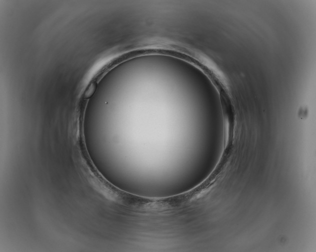 X0000090901368200707301404