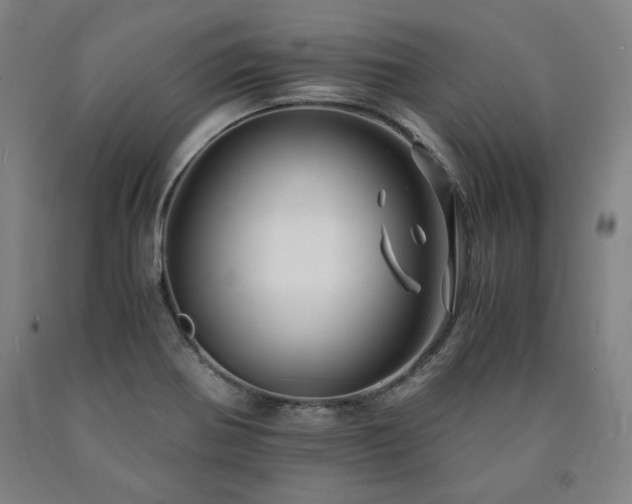 X0000090901370200707301404