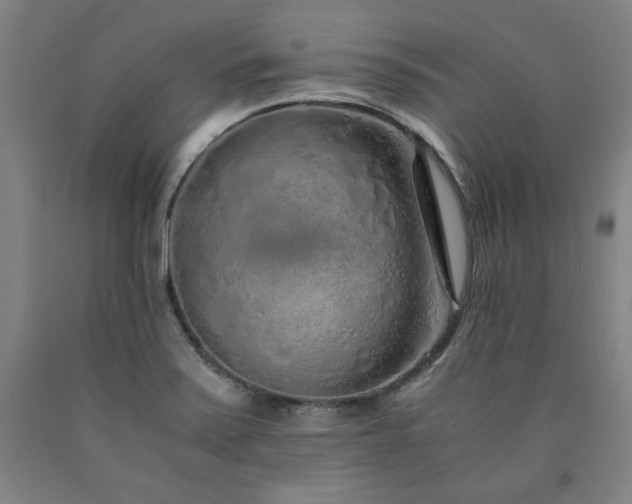 X0000090901371200707301404