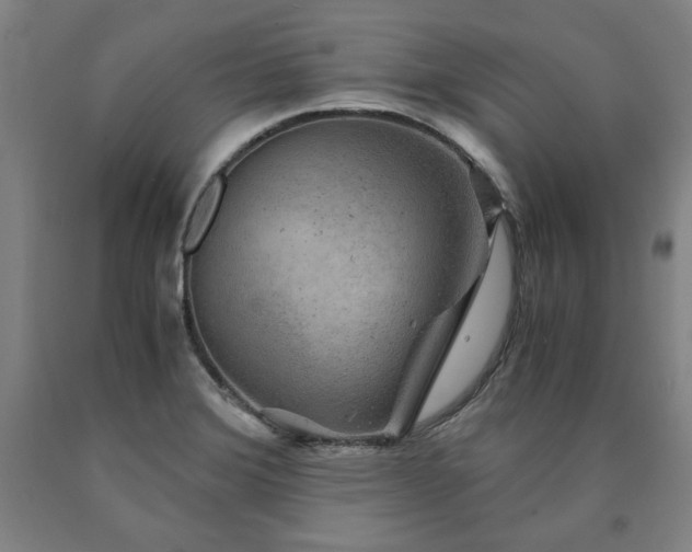 X0000090901372200707301404