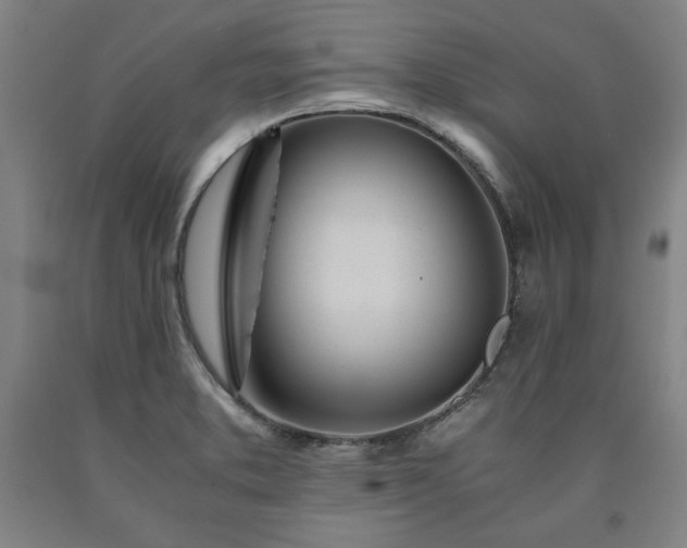 X0000090901373200707301404