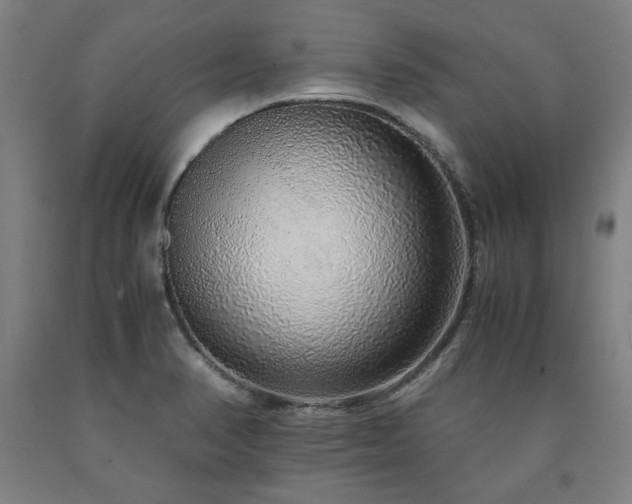 X0000090901374200707301404