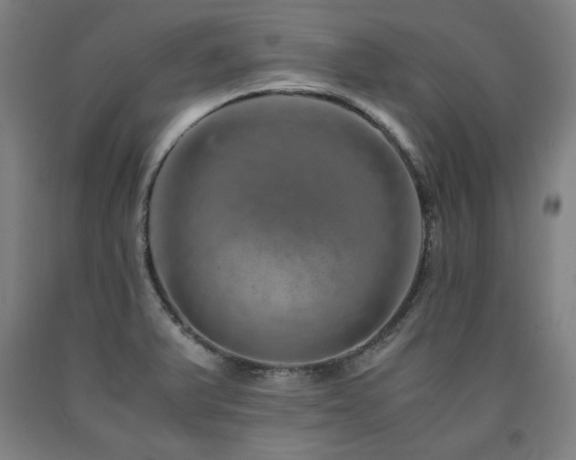 X0000090901375200707301404
