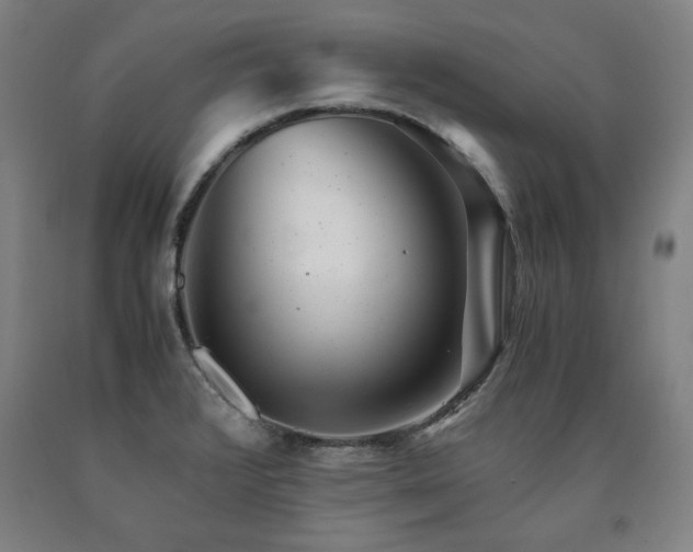 X0000090901376200707301404