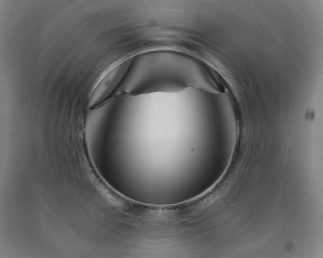 X0000090901377200707301404