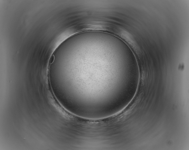 X0000090901378200707301404