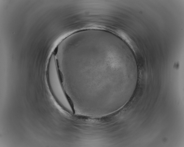 X0000090901379200707301404