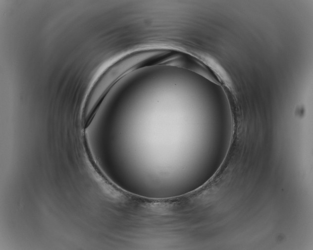 X0000090901380200707301403