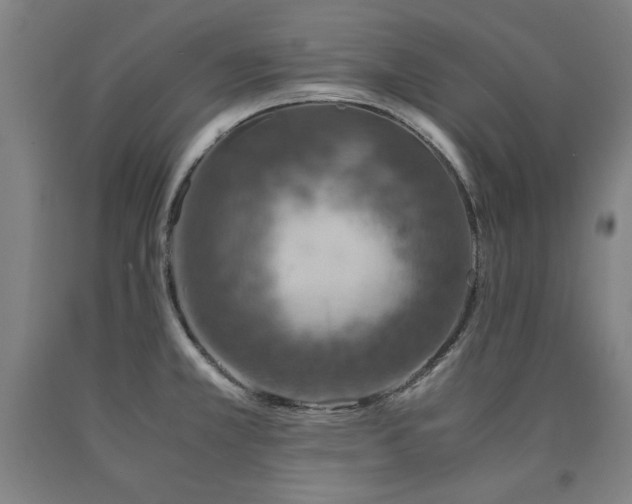 X0000090901381200707301403