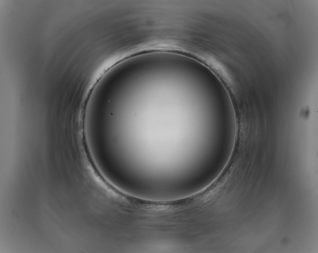 X0000090901382200707301403
