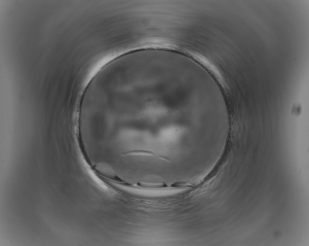 X0000090901383200707301403