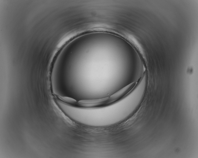 X0000090901384200707301403
