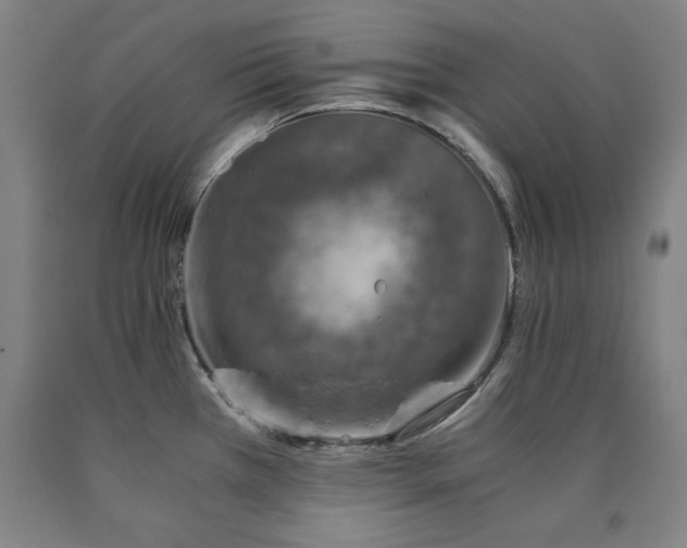 X0000090901385200707301403